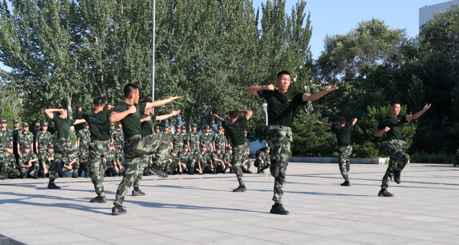 中国武警格斗拳图片